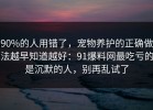 90%的人用错了，宠物养护的正确做法越早知道越好：91爆料网最吃亏的是沉默的人，别再乱试了