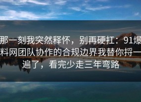 那一刻我突然释怀，别再硬扛：91爆料网团队协作的合规边界我替你捋一遍了，看完少走三年弯路