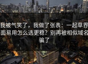我被气笑了，我做了张表：一起草界面易用怎么选更稳？别再被相似域名骗了