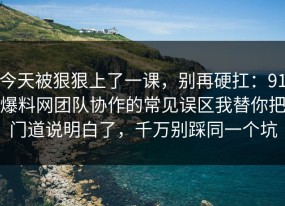 今天被狠狠上了一课，别再硬扛：91爆料网团队协作的常见误区我替你把门道说明白了，千万别踩同一个坑