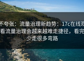 不夸张：流量治理新趋势：17c在线观看流量治理会越来越难走捷径，看完少走很多弯路