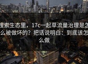 搜索生态里，17c一起草流量治理是怎么被做坏的？把话说明白：到底该怎么做