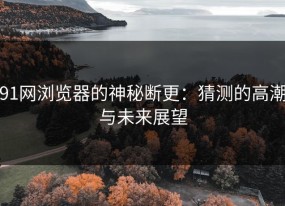 91网浏览器的神秘断更：猜测的高潮与未来展望