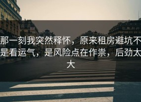 那一刻我突然释怀，原来租房避坑不是看运气，是风险点在作祟，后劲太大