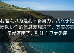 我差点以为是我不够努力，我终于把团队协作的信息差想通了，其实答案早就写明了，别让自己太委屈