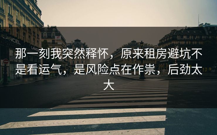 那一刻我突然释怀，原来租房避坑不是看运气，是风险点在作祟，后劲太大