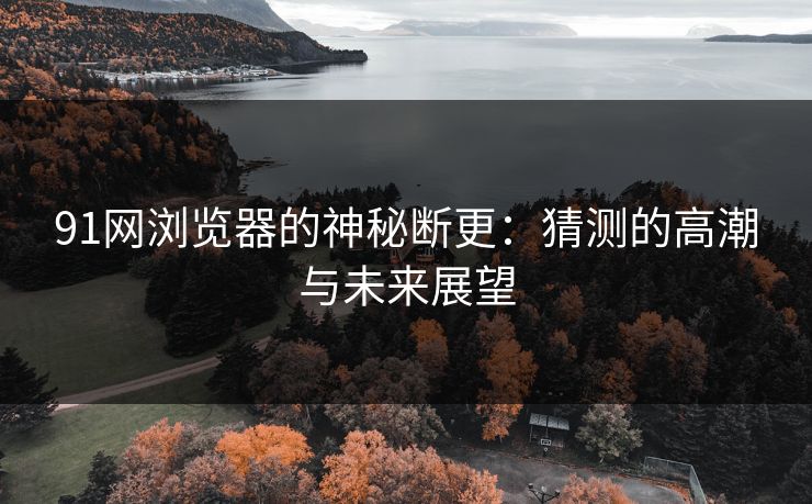 91网浏览器的神秘断更：猜测的高潮与未来展望