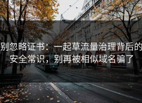 别忽略证书：一起草流量治理背后的安全常识，别再被相似域名骗了