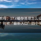 新手教程：17.c缓存清理怎么设置更省心？别被“最新入口”四个字带偏