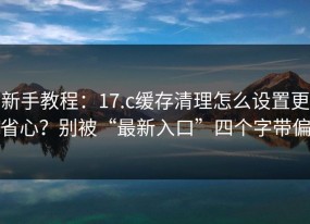 新手教程：17.c缓存清理怎么设置更省心？别被“最新入口”四个字带偏