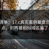 一张清单：17.c真实案例复盘自查要点，别再被相似域名骗了