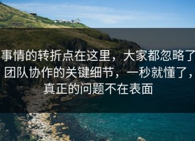 事情的转折点在这里，大家都忽略了团队协作的关键细节，一秒就懂了，真正的问题不在表面