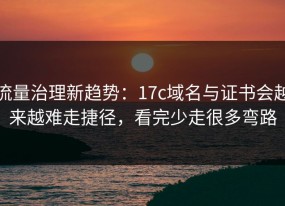 流量治理新趋势：17c域名与证书会越来越难走捷径，看完少走很多弯路