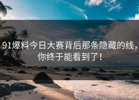91爆料今日大赛背后那条隐藏的线，你终于能看到了！