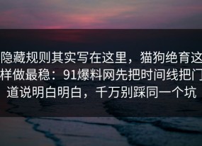 隐藏规则其实写在这里，猫狗绝育这样做最稳：91爆料网先把时间线把门道说明白明白，千万别踩同一个坑