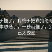 我终于懂了，我终于把猫狗绝育的隐藏成本想通了，一秒就懂了，别让自己太委屈