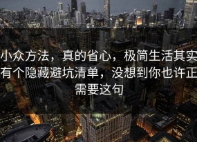 小众方法，真的省心，极简生活其实有个隐藏避坑清单，没想到你也许正需要这句