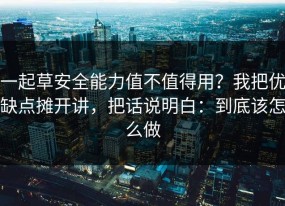 一起草安全能力值不值得用？我把优缺点摊开讲，把话说明白：到底该怎么做