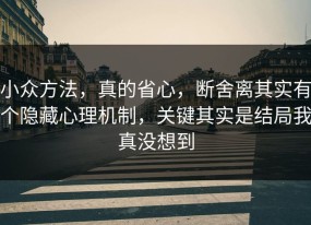 小众方法，真的省心，断舍离其实有个隐藏心理机制，关键其实是结局我真没想到