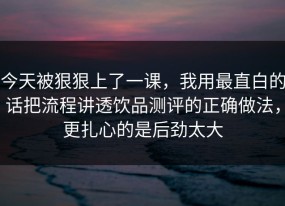 今天被狠狠上了一课，我用最直白的话把流程讲透饮品测评的正确做法，更扎心的是后劲太大