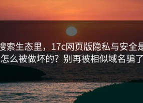 搜索生态里，17c网页版隐私与安全是怎么被做坏的？别再被相似域名骗了