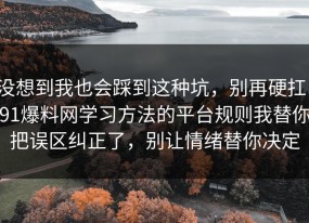 没想到我也会踩到这种坑，别再硬扛：91爆料网学习方法的平台规则我替你把误区纠正了，别让情绪替你决定