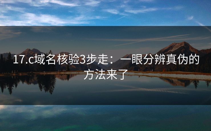 17.c域名核验3步走：一眼分辨真伪的方法来了