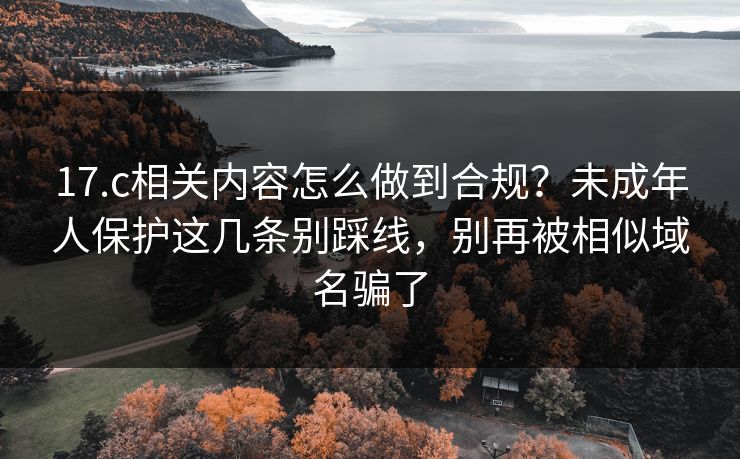 17.c相关内容怎么做到合规？未成年人保护这几条别踩线，别再被相似域名骗了