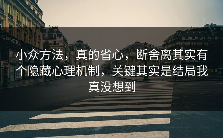 小众方法，真的省心，断舍离其实有个隐藏心理机制，关键其实是结局我真没想到