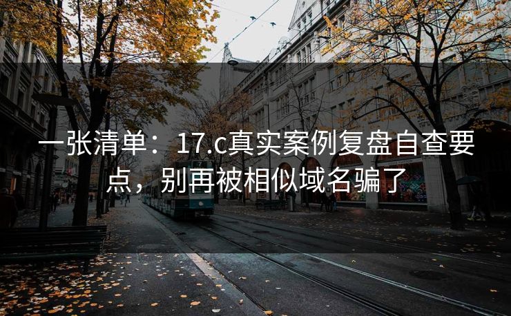 一张清单：17.c真实案例复盘自查要点，别再被相似域名骗了