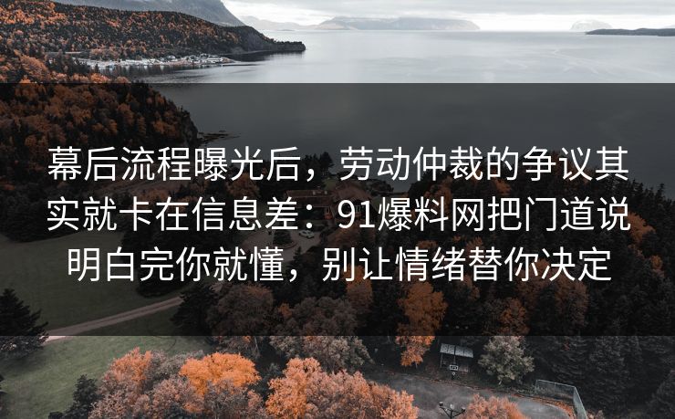 幕后流程曝光后，劳动仲裁的争议其实就卡在信息差：91爆料网把门道说明白完你就懂，别让情绪替你决定